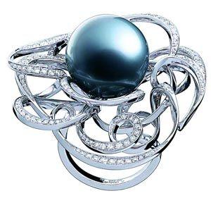 Glory&Dream ������� �����֪