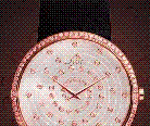 Dior Watch߲ݻ