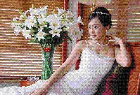 ʯͷ�� 2008�¿�ͼƬ