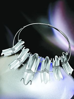 铂金 10年光华
