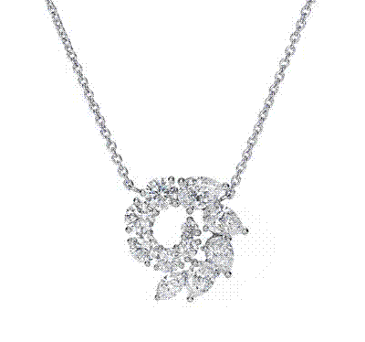 Harry Winston˽