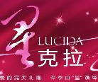 ǿ 2009˽ڰ