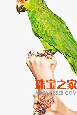  ʽ鱦