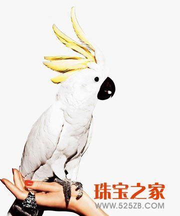  ʽ鱦