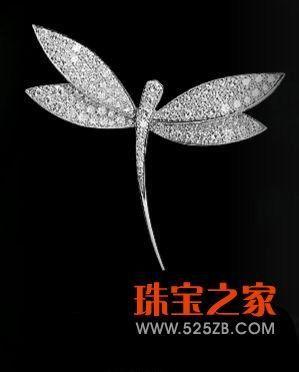 Լ űDragonflies Butterfliesϵ