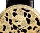 Dior·ڹʱг