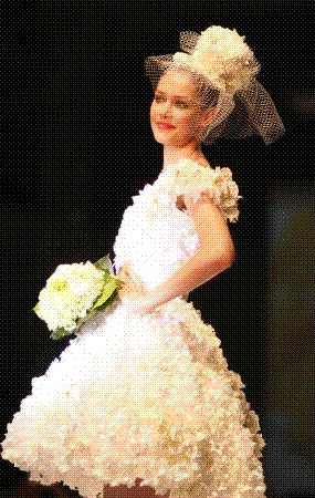 ����������2009���ɴ��������Ϻ�