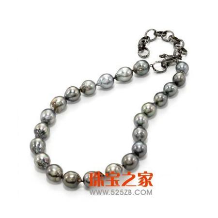 K. Brunini�鱦���� ��²�����۹�