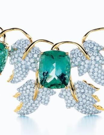 ɾTiffany &Co.ɫ鱦