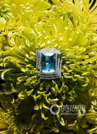 ݻ鱦 Ż֮