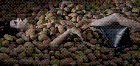 ŮȨ ʱģûǹսȨ