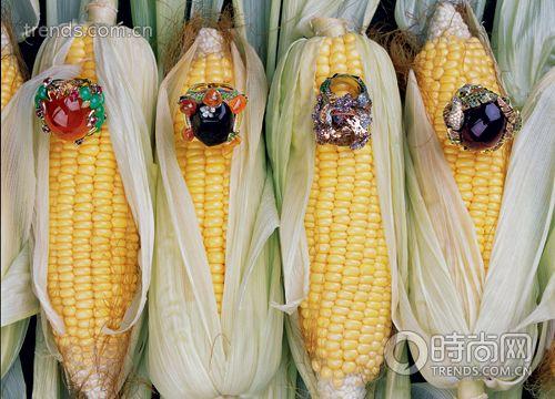 鱦 ̬