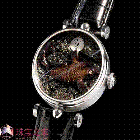 ʿӱƷ ѡˮݡؼ