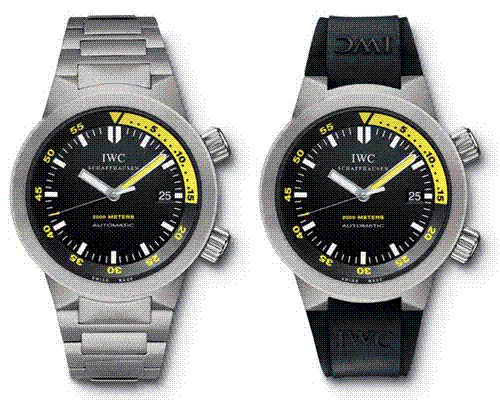 ǧ֮ IWC̽ʱɫѧ