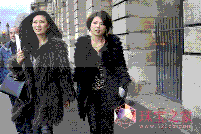 ̸ѩҶPOMELLATOϯʱװ