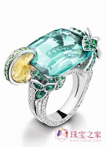 闪烁着绚烂光晕