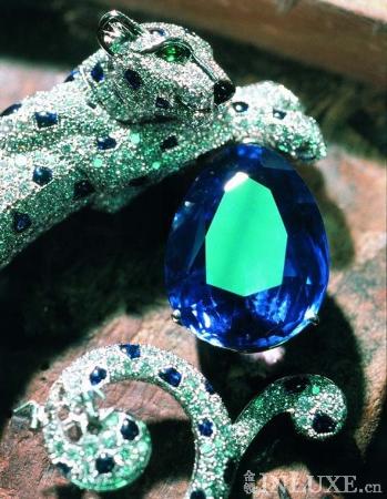 ƷʷCartier 鱦
