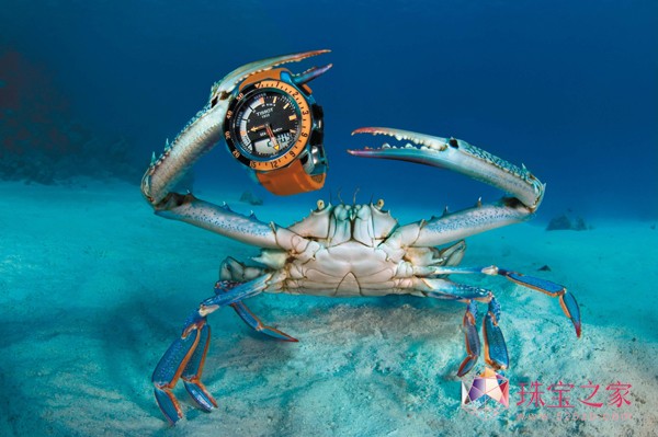 深海中的天梭潜智系列