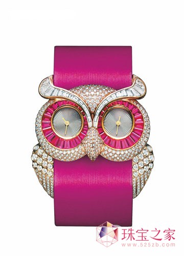 智美双全猫头鹰