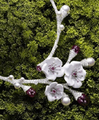 PIAGET��԰�ɶ��ݻ������鱦��������ͼ��
