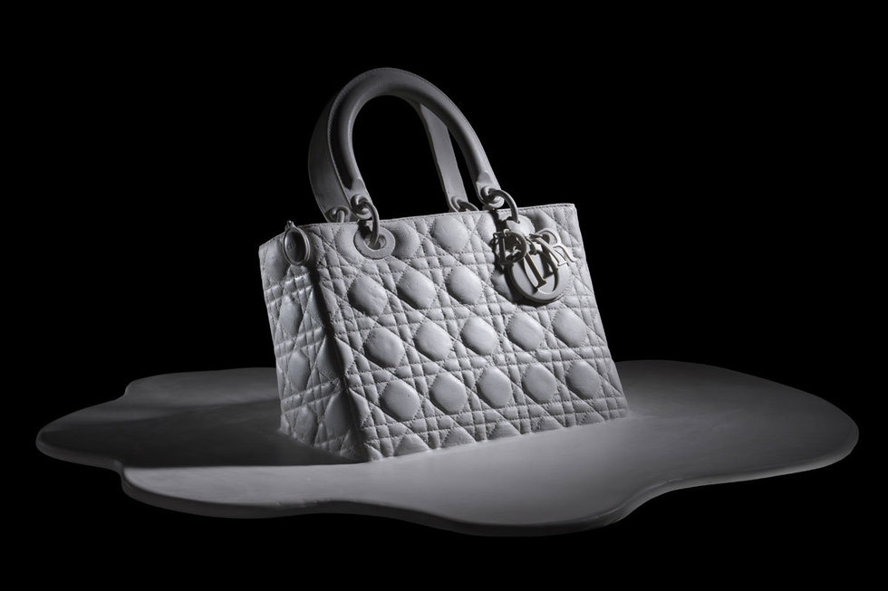 Lady Dior by Olympia Scarry
