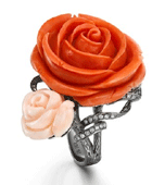 ���϶��鱦����