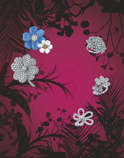 不朽的经典花卉 不朽的经典花卉