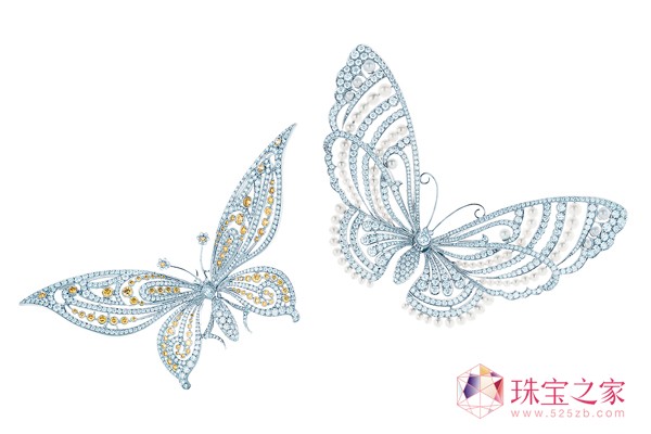 ׿֮ Tiffanyܽᣩ鱦ϵ