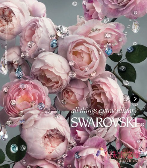 Swarovskiʩˮ2013ĹƬ