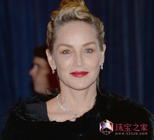 白宫记者晚宴 莎朗·斯通