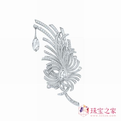 ζ¿鱦ϵУ鶯ëӲ鱦Ĵ"Aigrette”