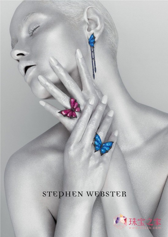 STEPHEN WEBSTER 2013/14ﶬ鱦Ƭ