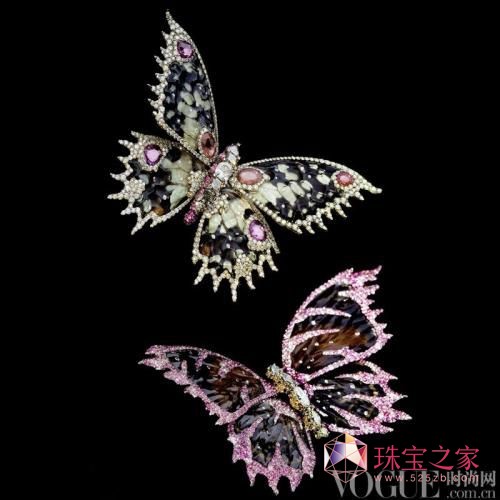 Ǯ ЩղصƷ鱦