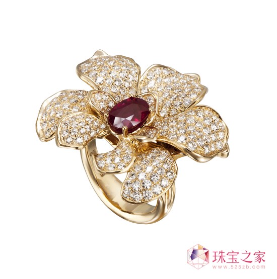 ORQUÍDEASкŽָŮ Seda ImperialϵƼ