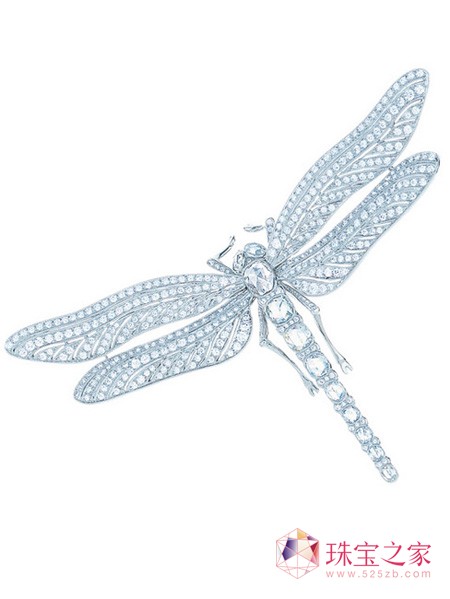 Tiffany & Co. ٰʢ䡸Ȼޡ