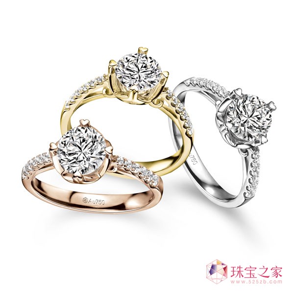 鱦2015ϵƷ