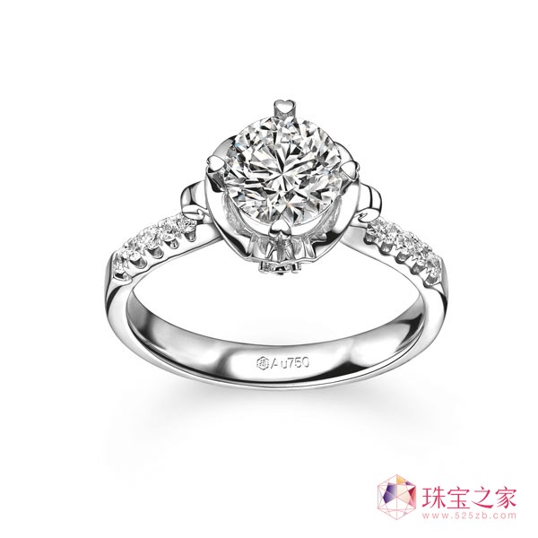 鱦2015ϵƷ