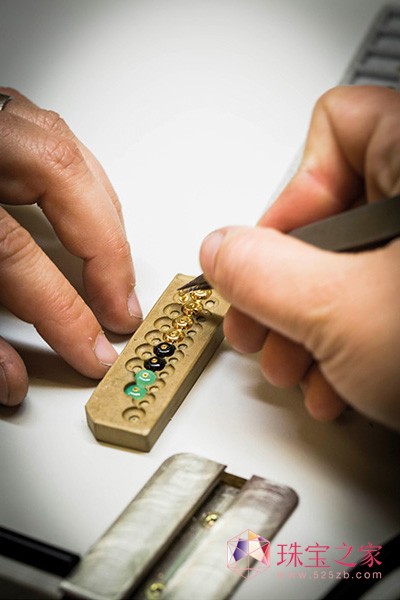 űȫ鱦ϵBouton d'or
