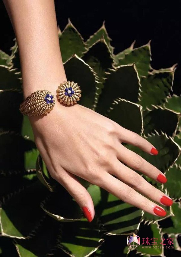 Cactus de Cartier ϵʢ