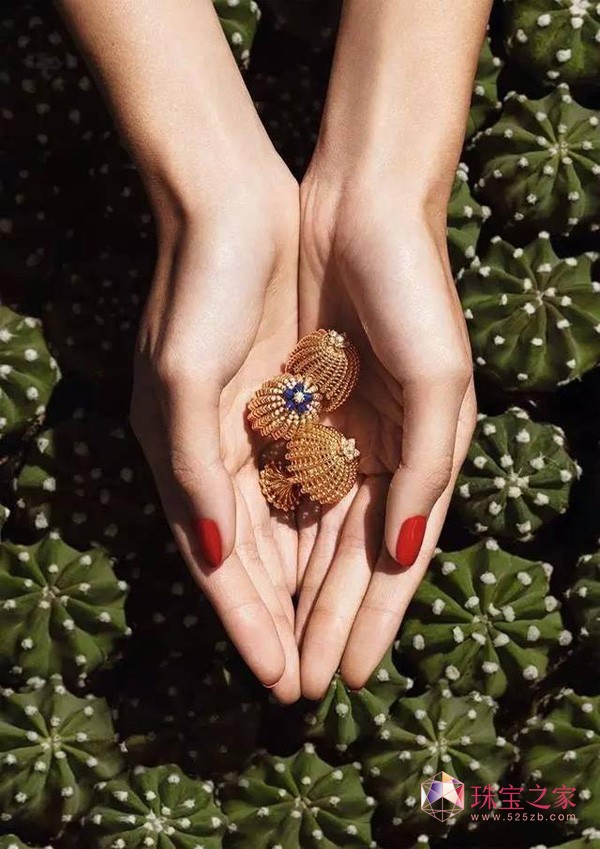 Cactus de Cartier ϵʢ