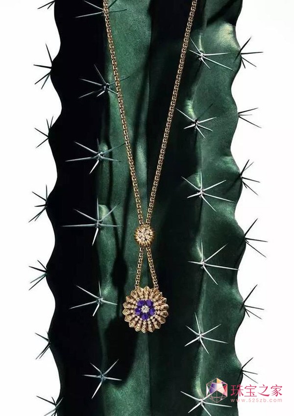 Cactus de Cartier ϵʢ