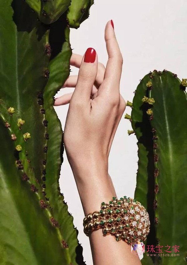 Cactus de Cartier ϵʢ